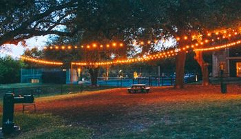 Bark park